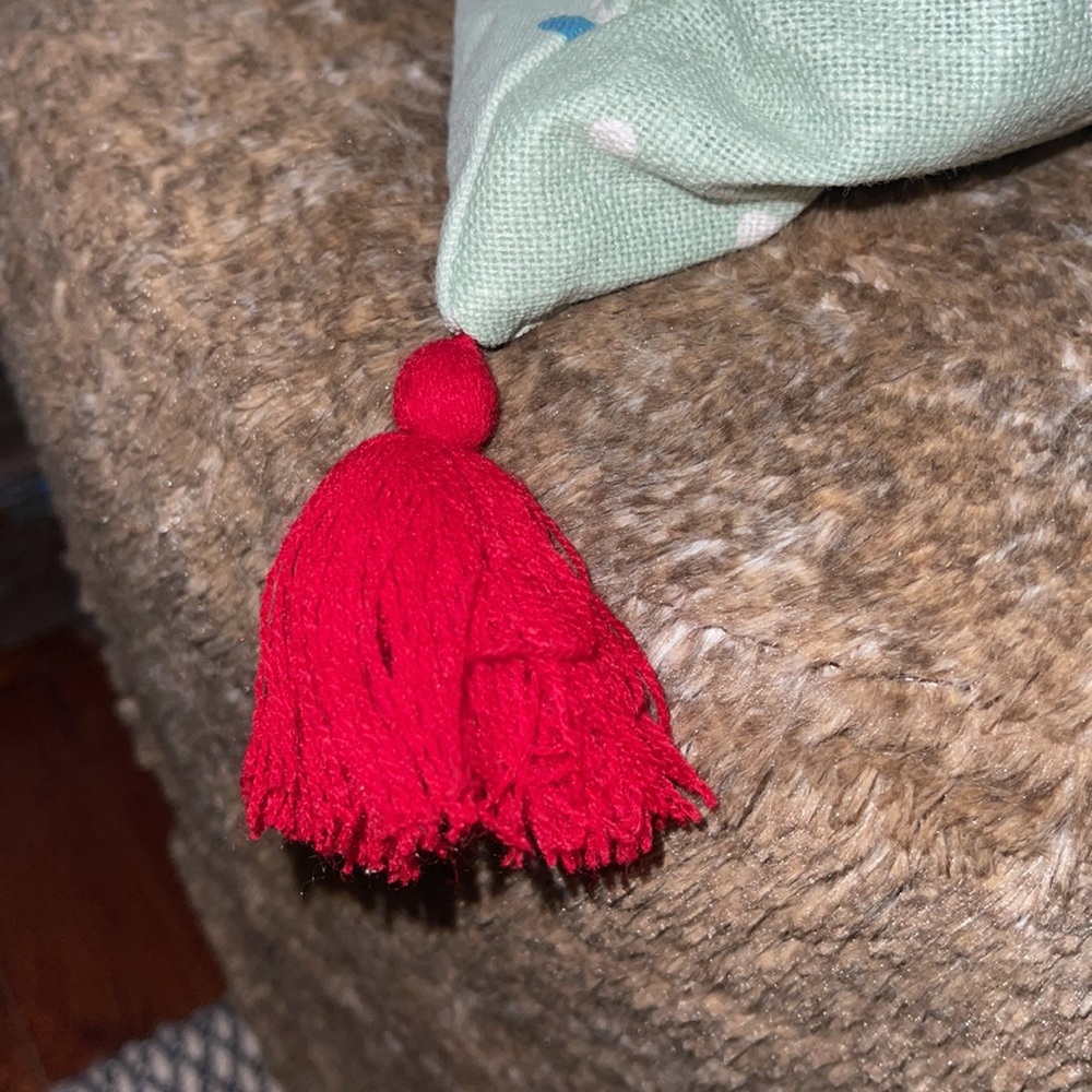 The Pioneer Woman Holiday Throw Pillows - Picture 4 of 6
